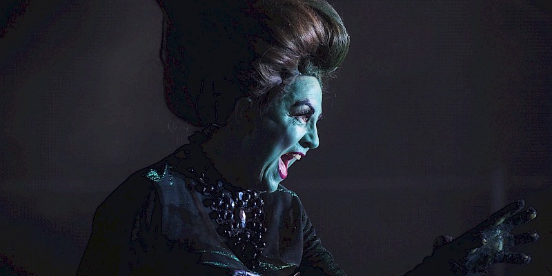 Titelbild von Sologesang