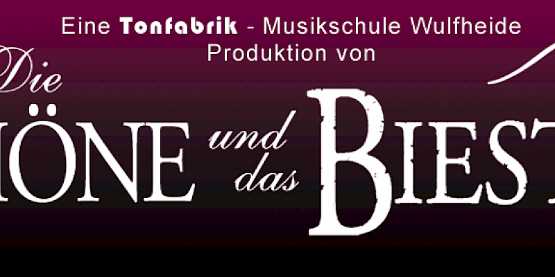 Titelbild von Unser Musical-Projekt 2011/2012