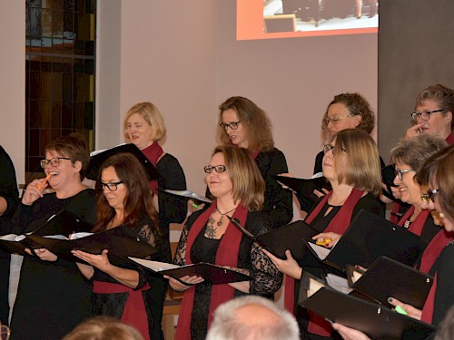 The Voice Company