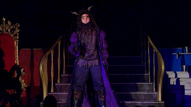 Bildergalerie , Bild 13